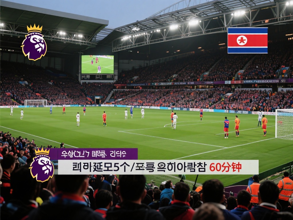 战队在全球 战队在全球